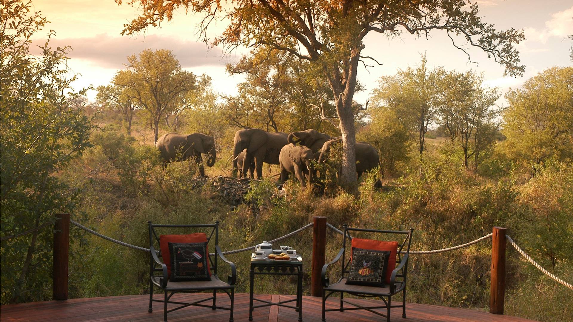 Hoyo Hoyo Safari Lodge in het Krugerpark