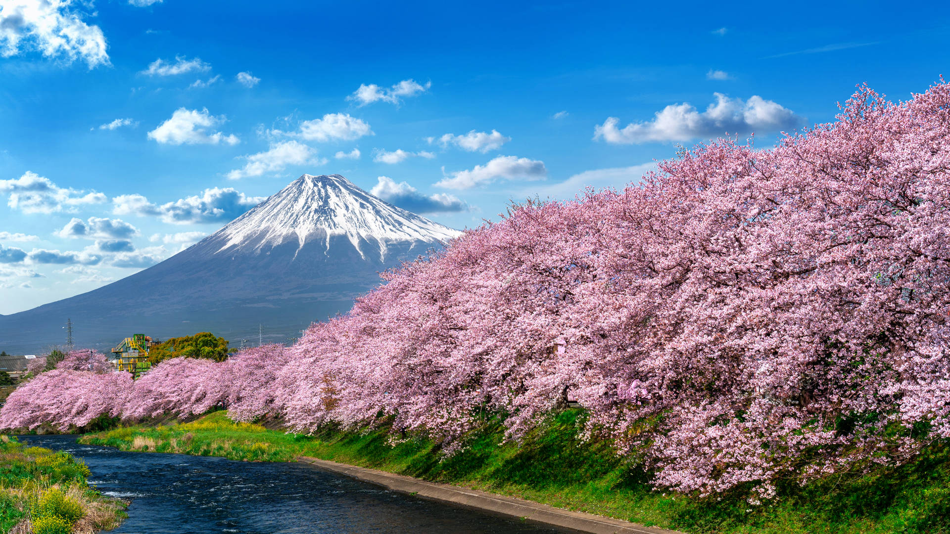 Mount Fuji, Japan
