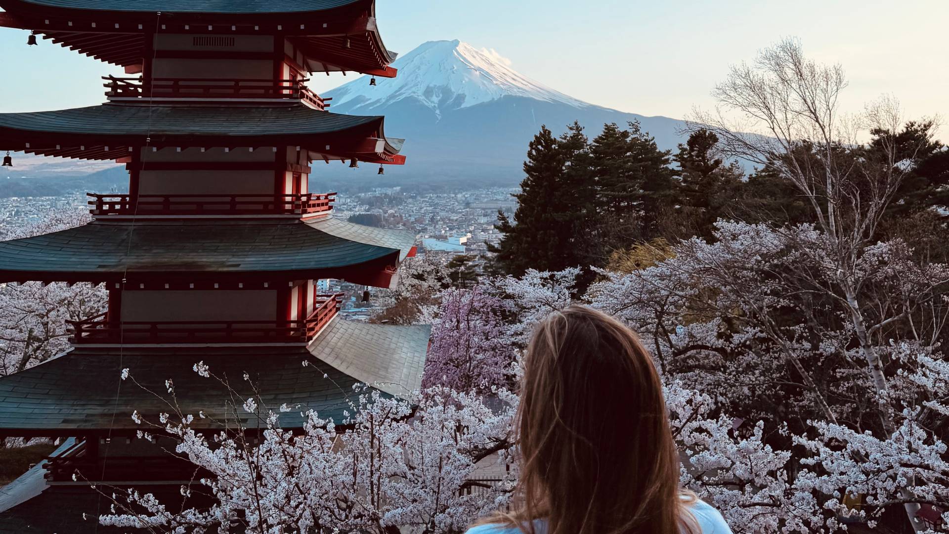 Uitzicht op Mount Fuji
