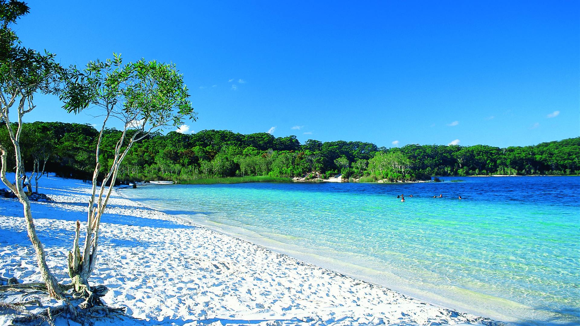 Lake McKenzie, Fraser Island