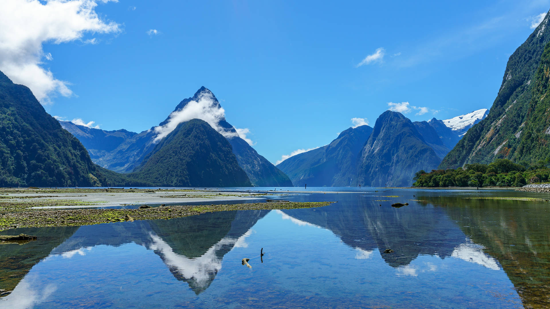 Milford Sound