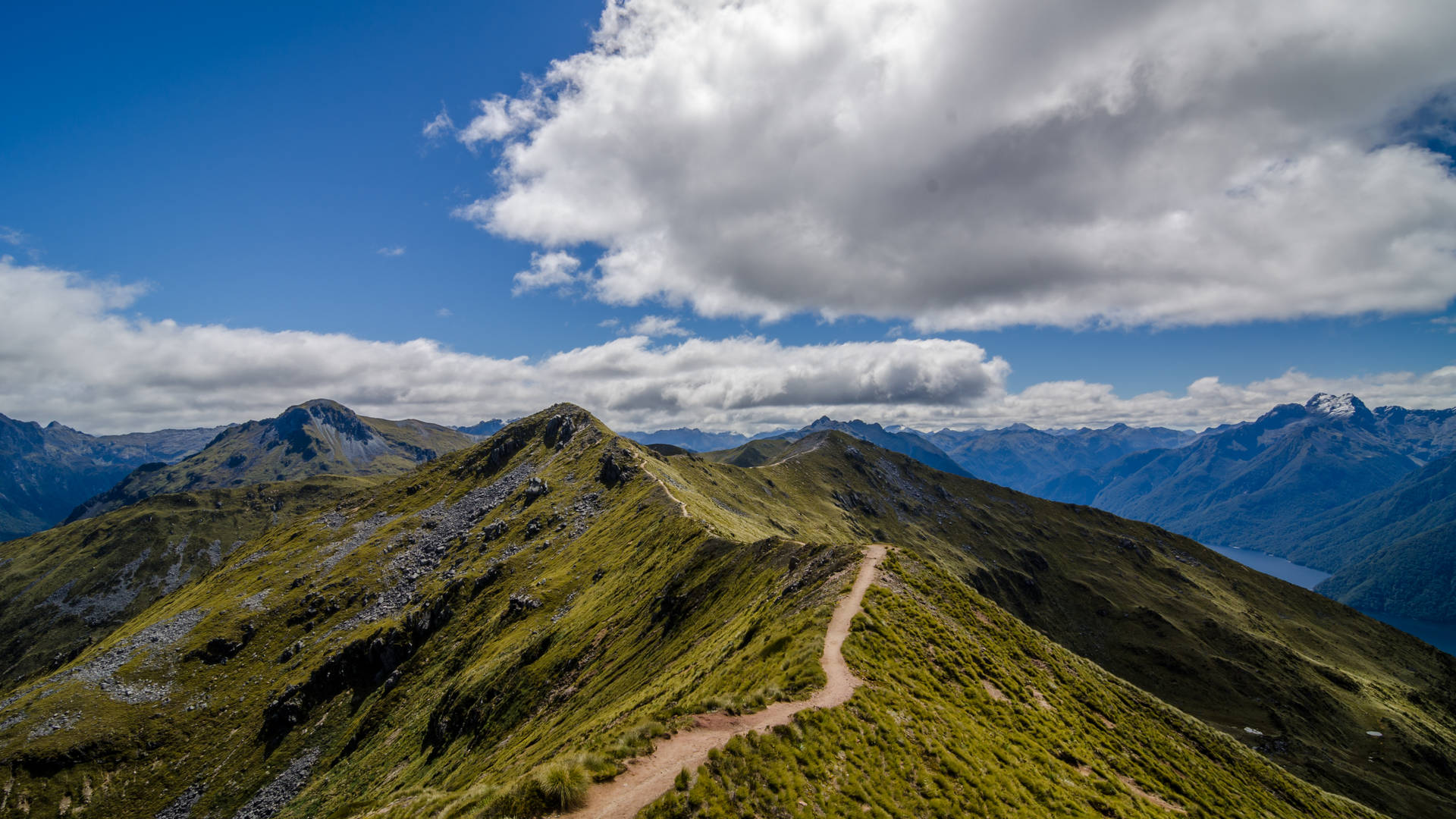 Kepler Track