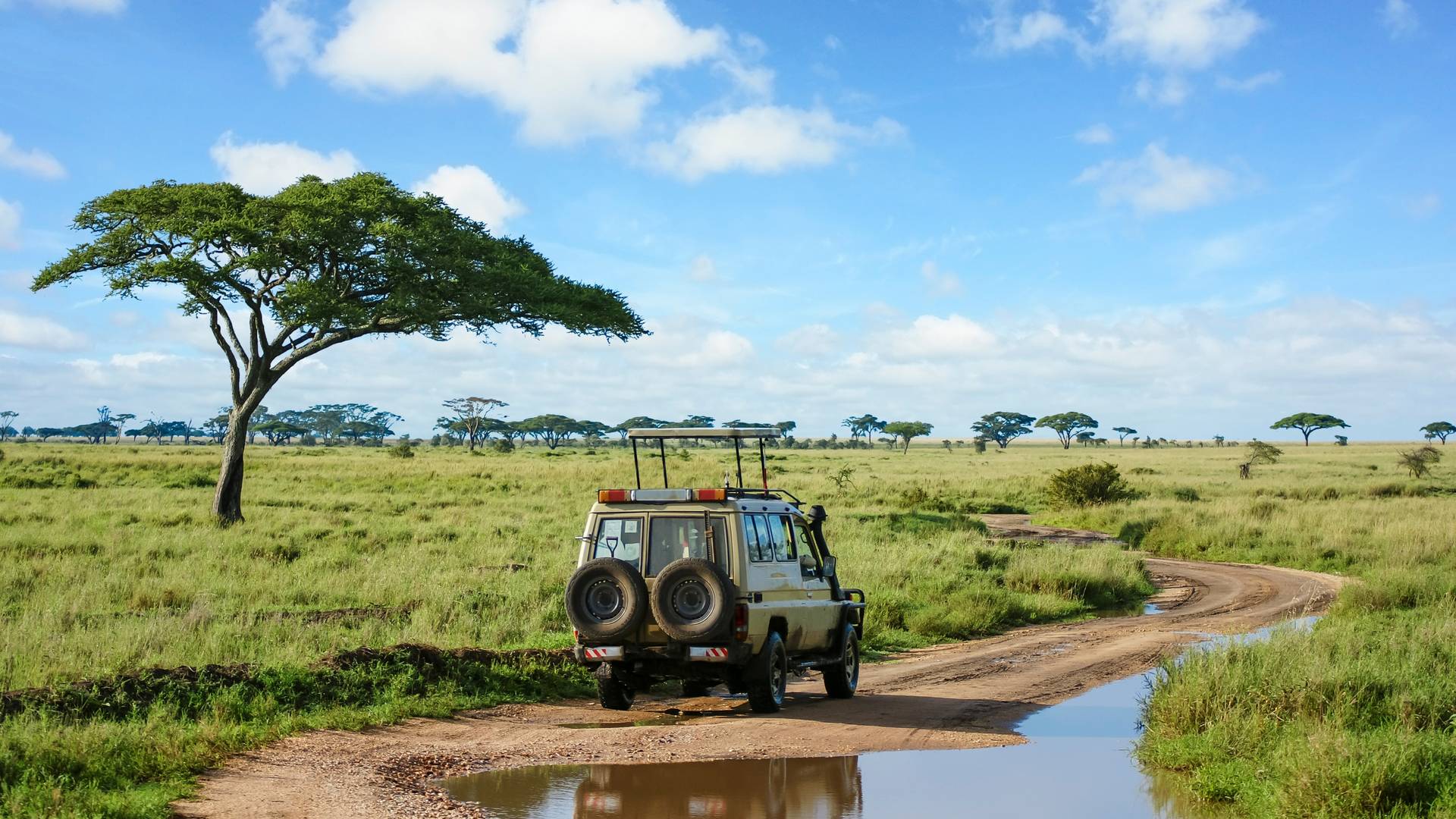 Explore the Great Nature of Tanzania