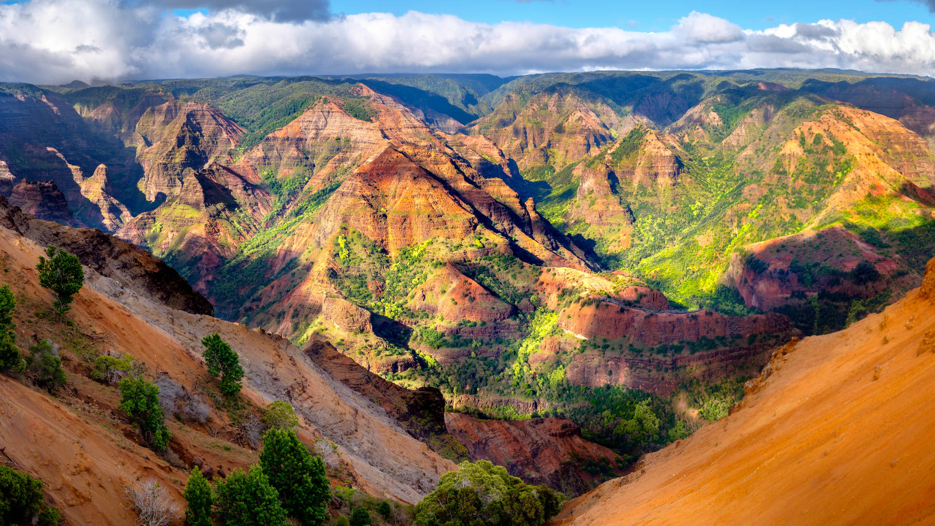 Waimea Canyon op Kauai, Hawaii