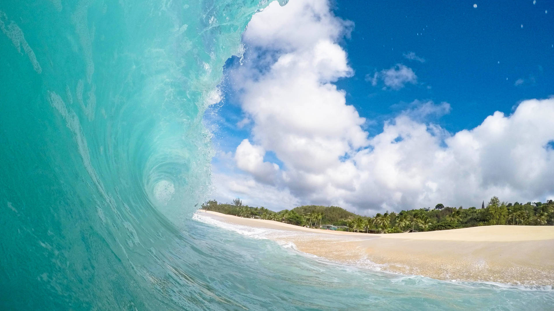 Rondreis Hawaii Haleiwa, Oahu