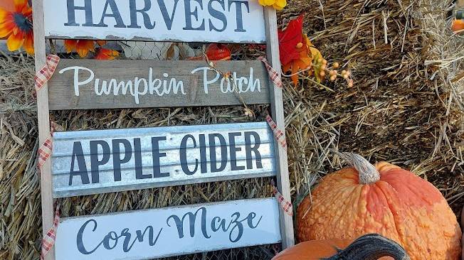 Pompen boerderij in New York State in de herfst