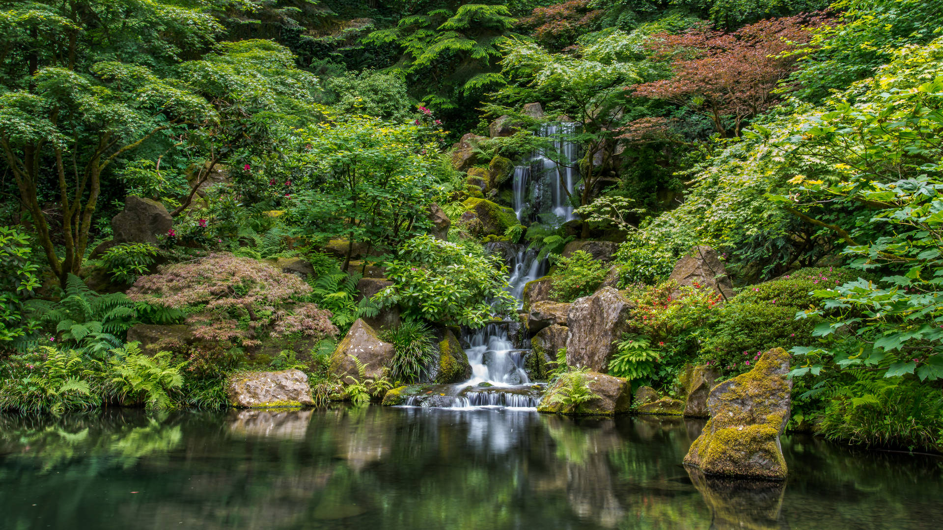 Japanse tuin in Portland