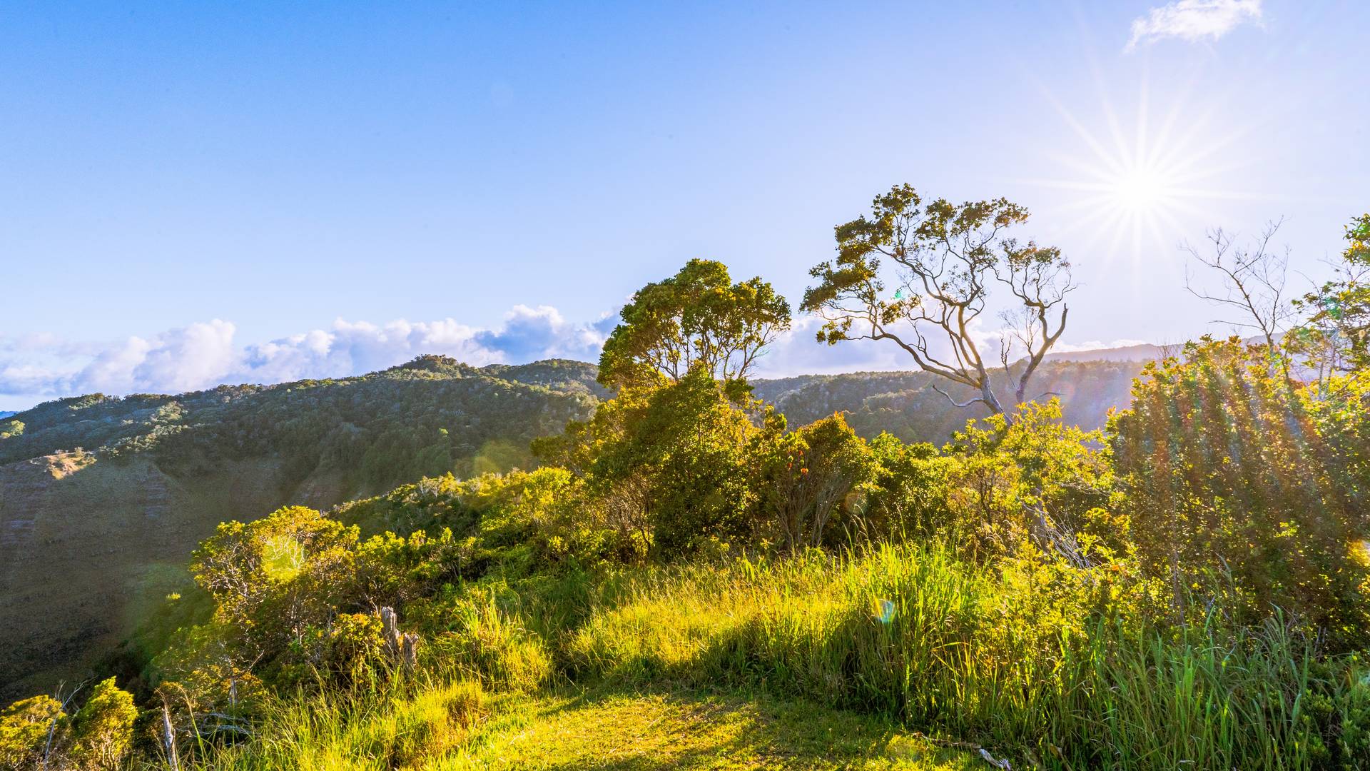 Kōkeʻe State Park, Kauai, Hawaii