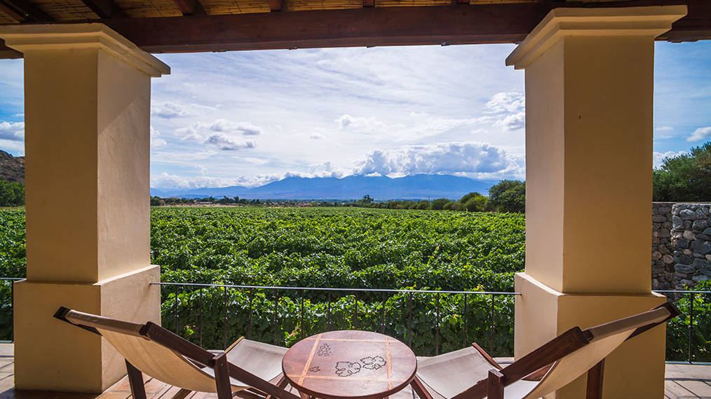 Vinas de Cafayate Wine Resort