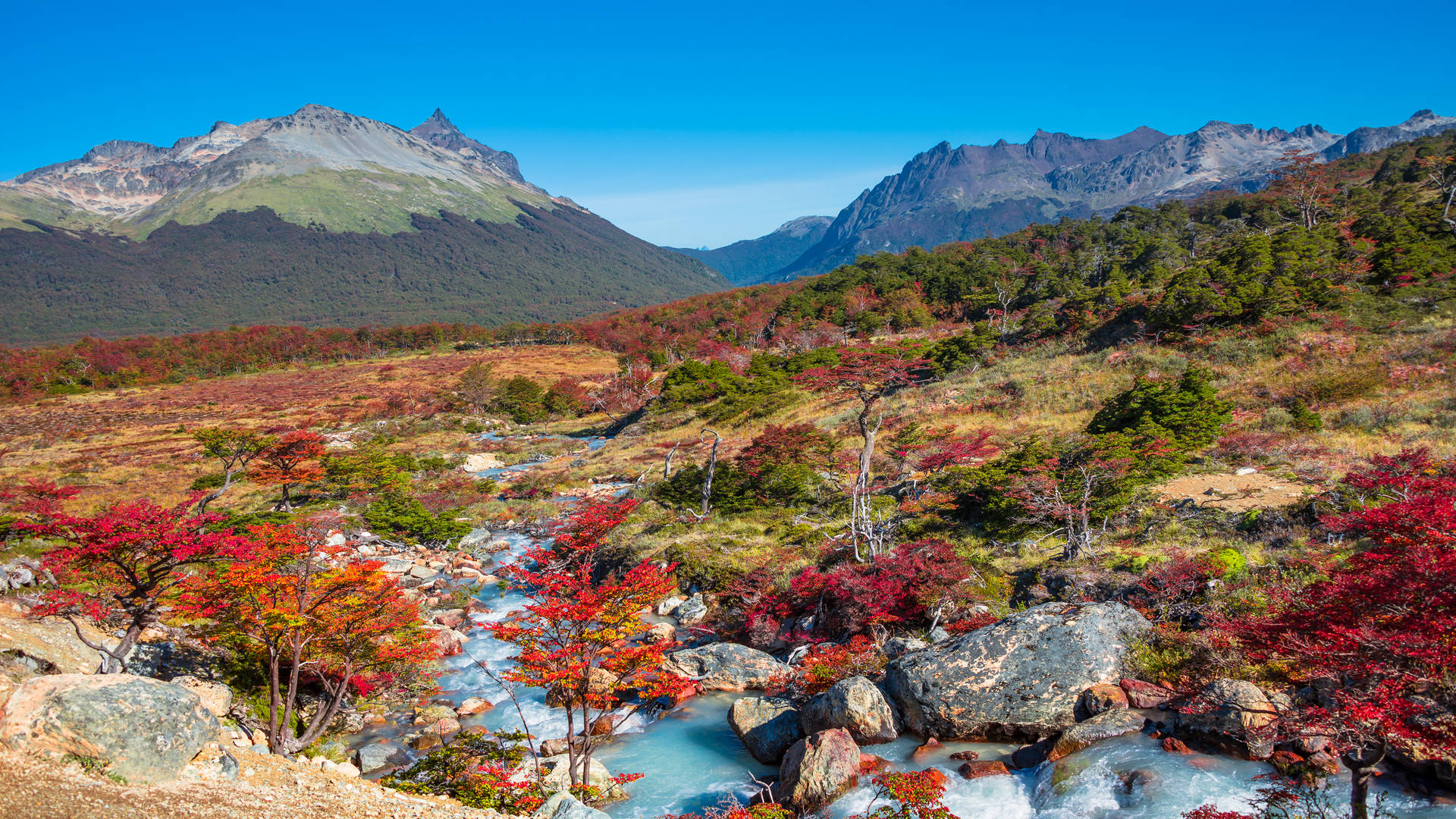 Tierra del Fuego National Park, Vuurland