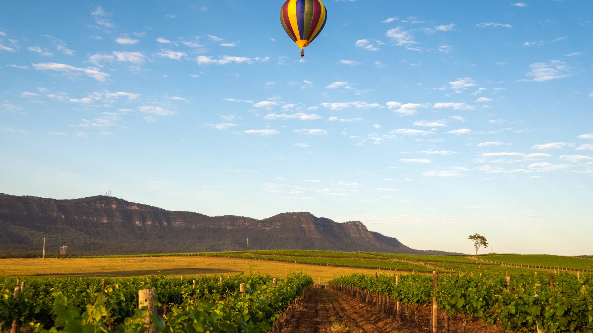 Ballonvlucht over Hunter Valley