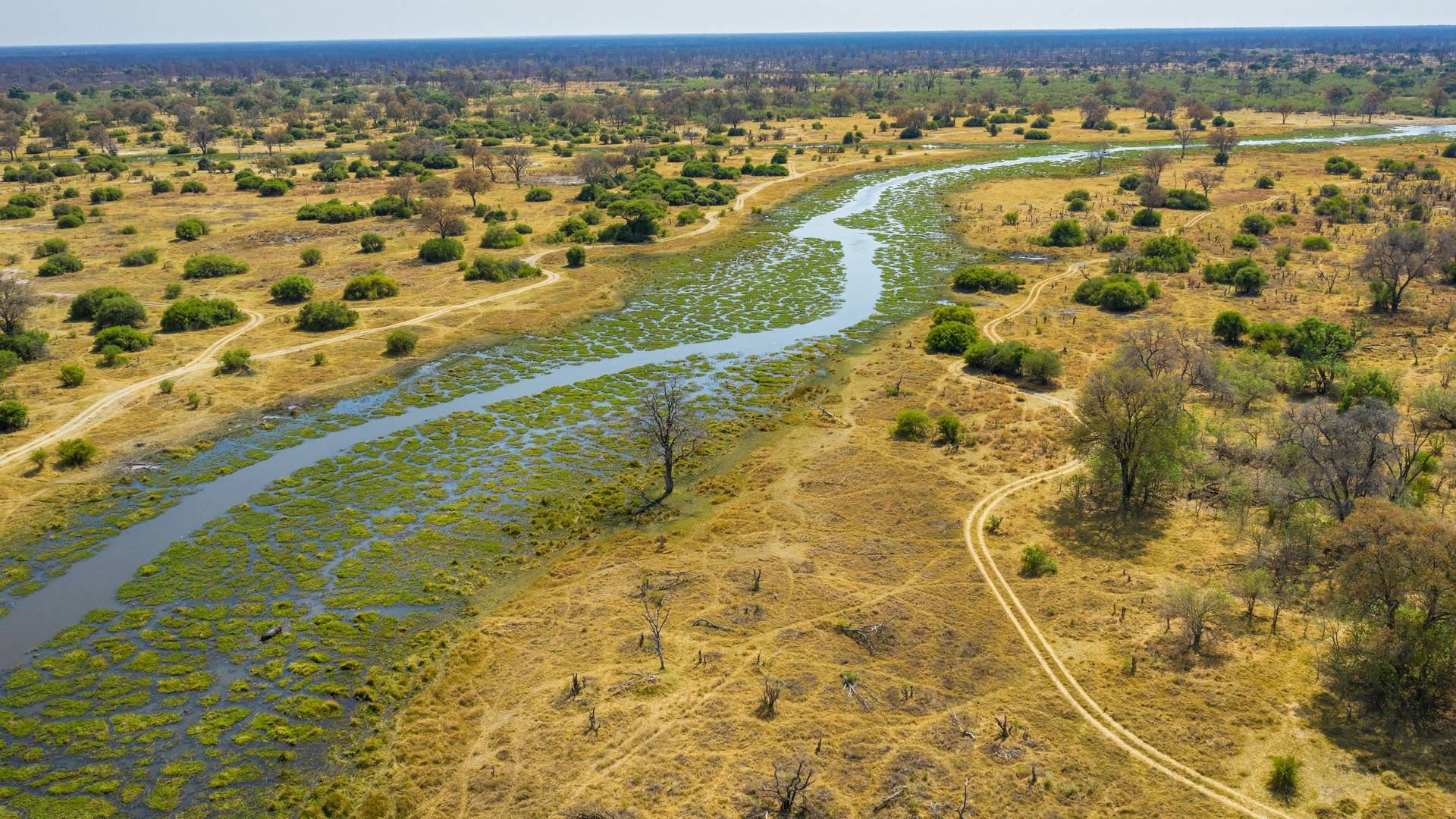 Khwai rivier