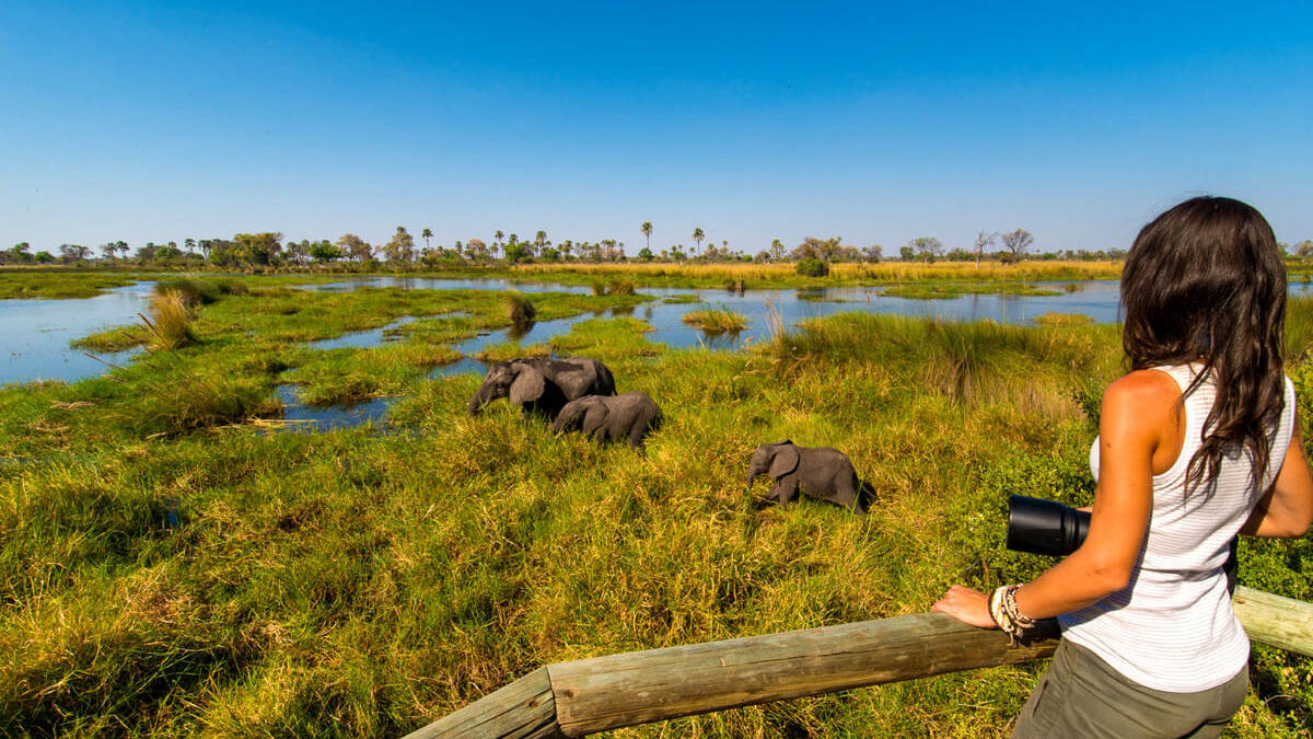 Okavango Delta Camp, Botswana