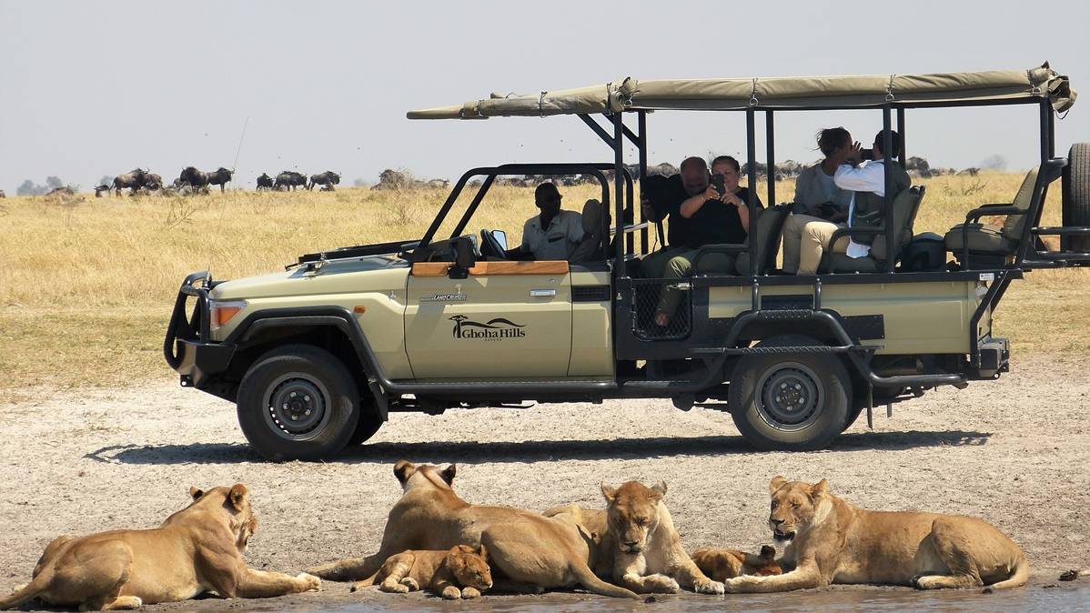 Leeuwen in Savuti, Moremi Game Reserve