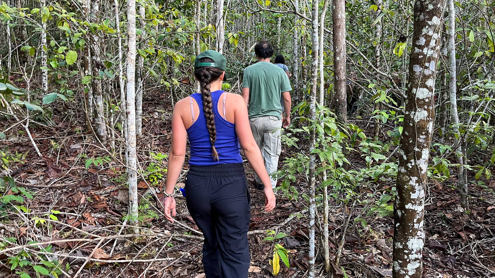 Jungle wandeling