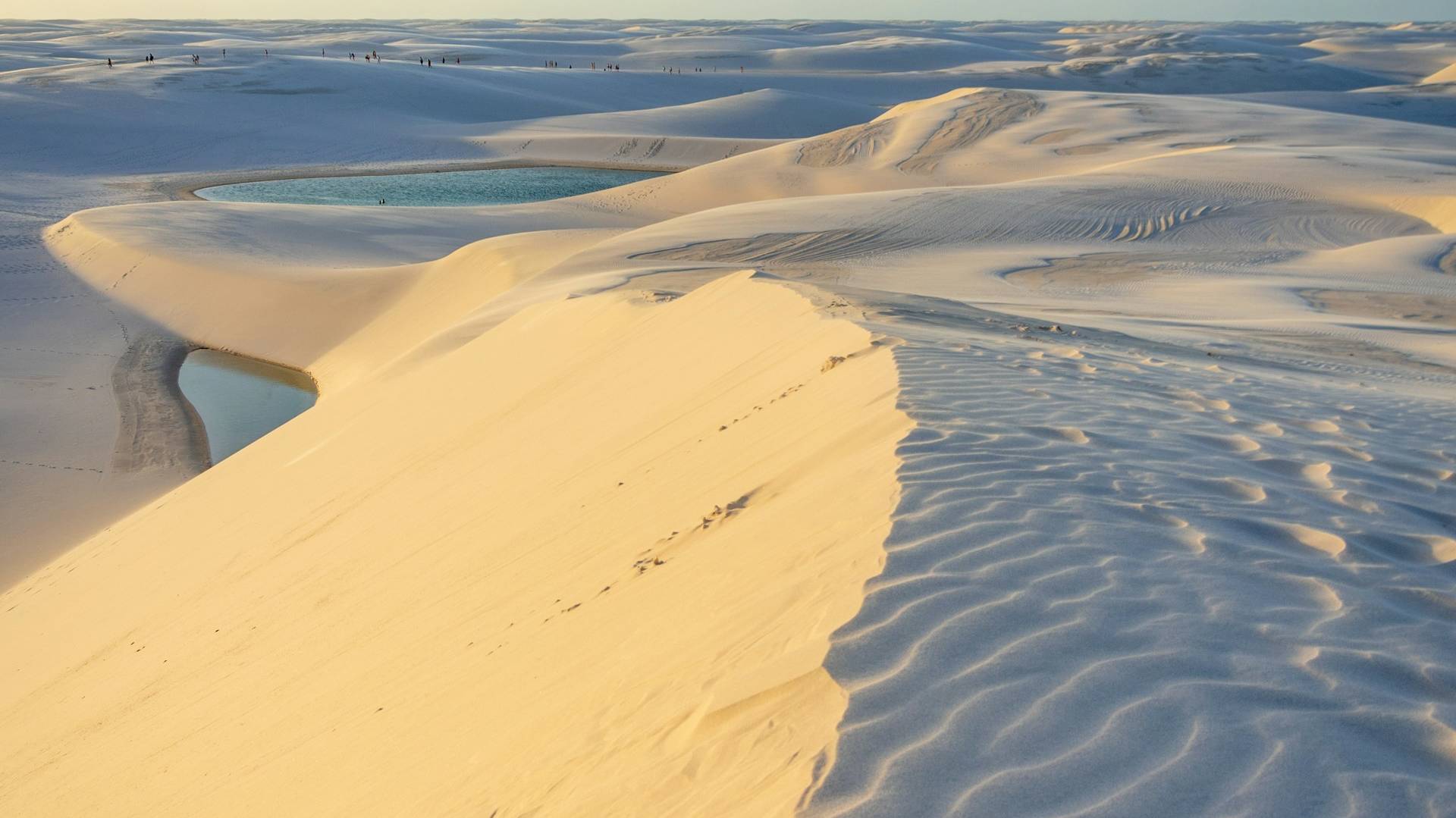 Discover the Nature of Brazil