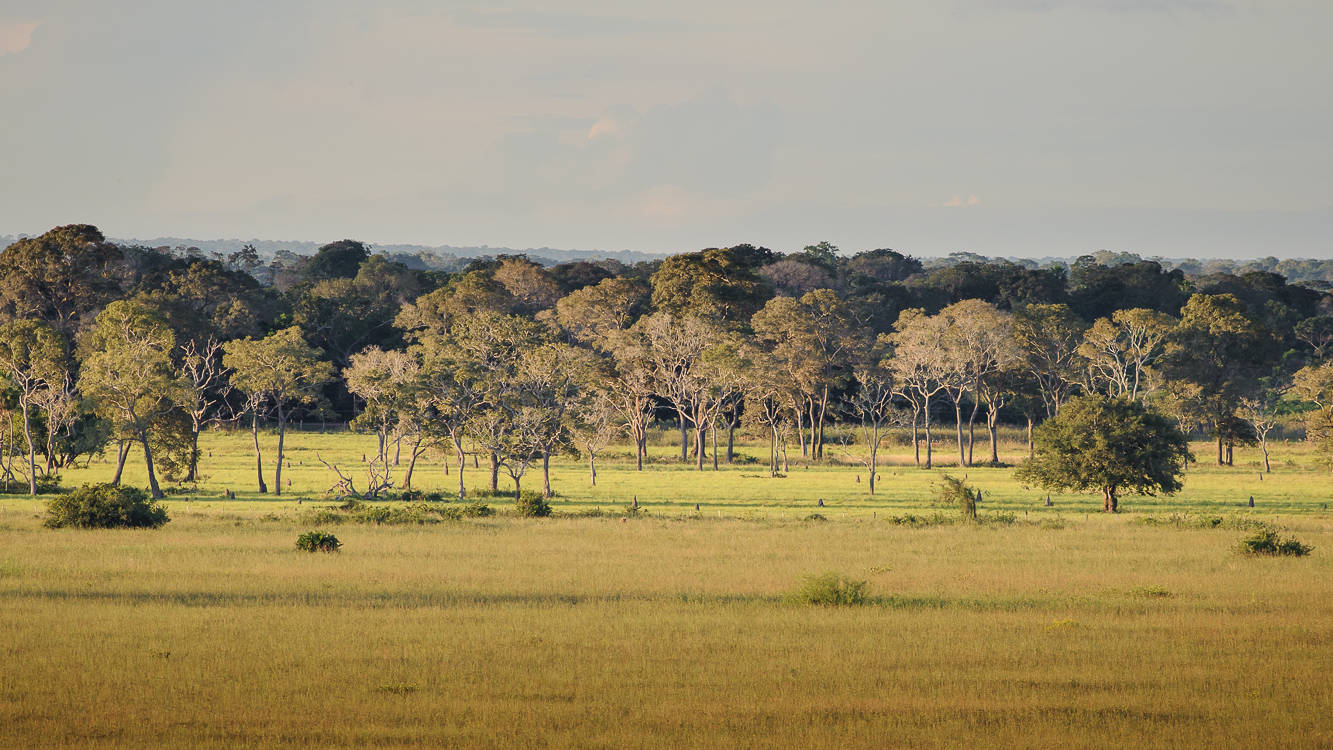 Araras Lodge, Pantanal