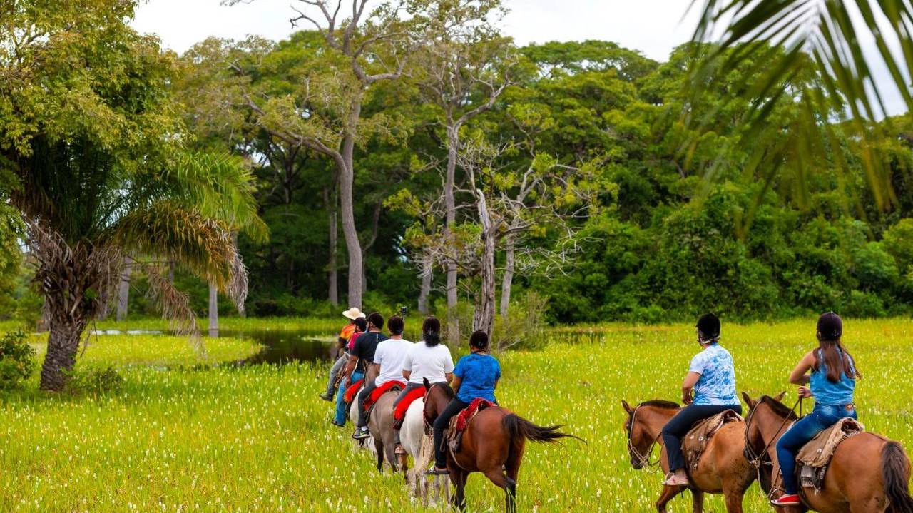 Te paard in de Pantanal