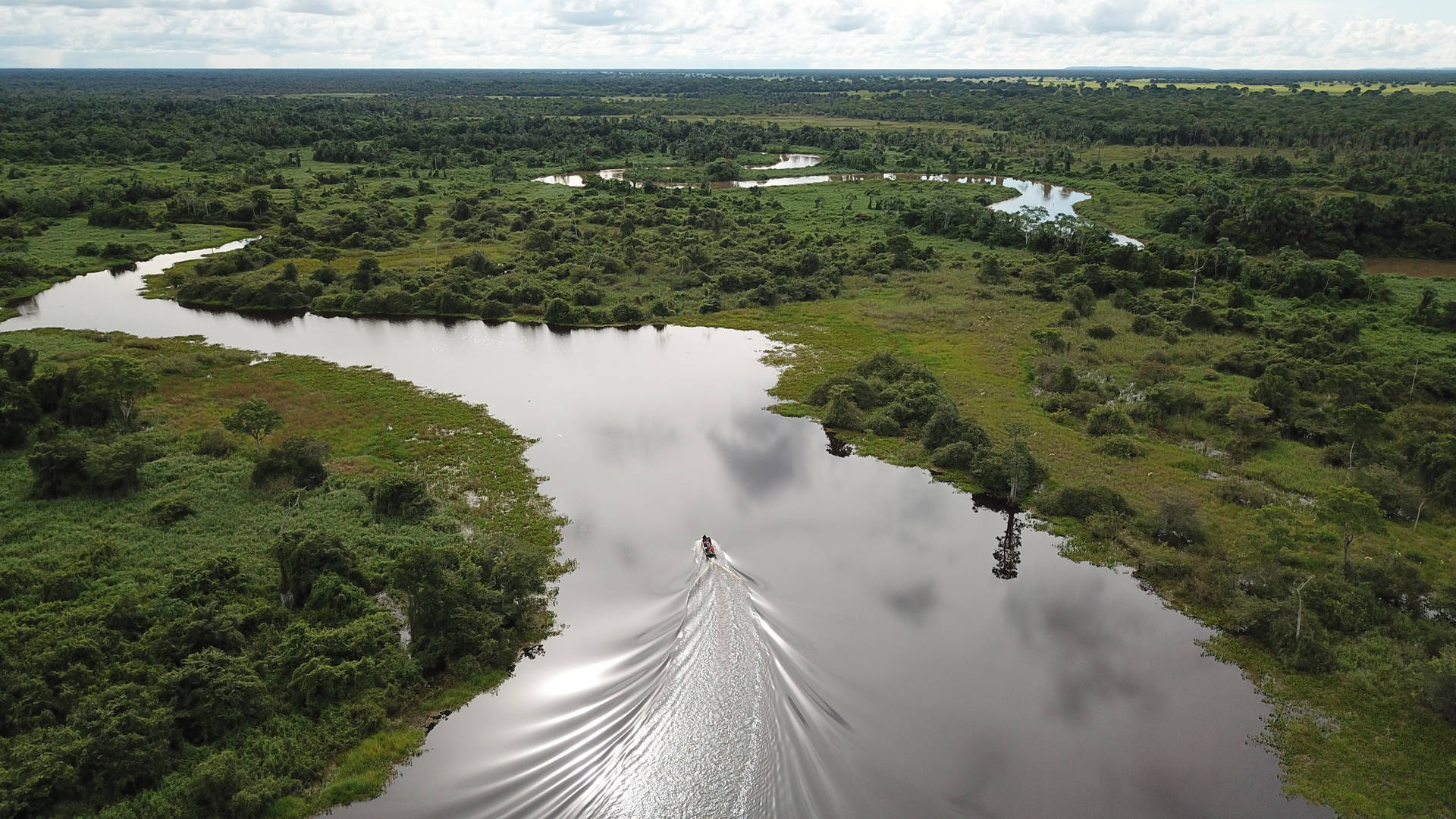 Boottocht door de Pantanal