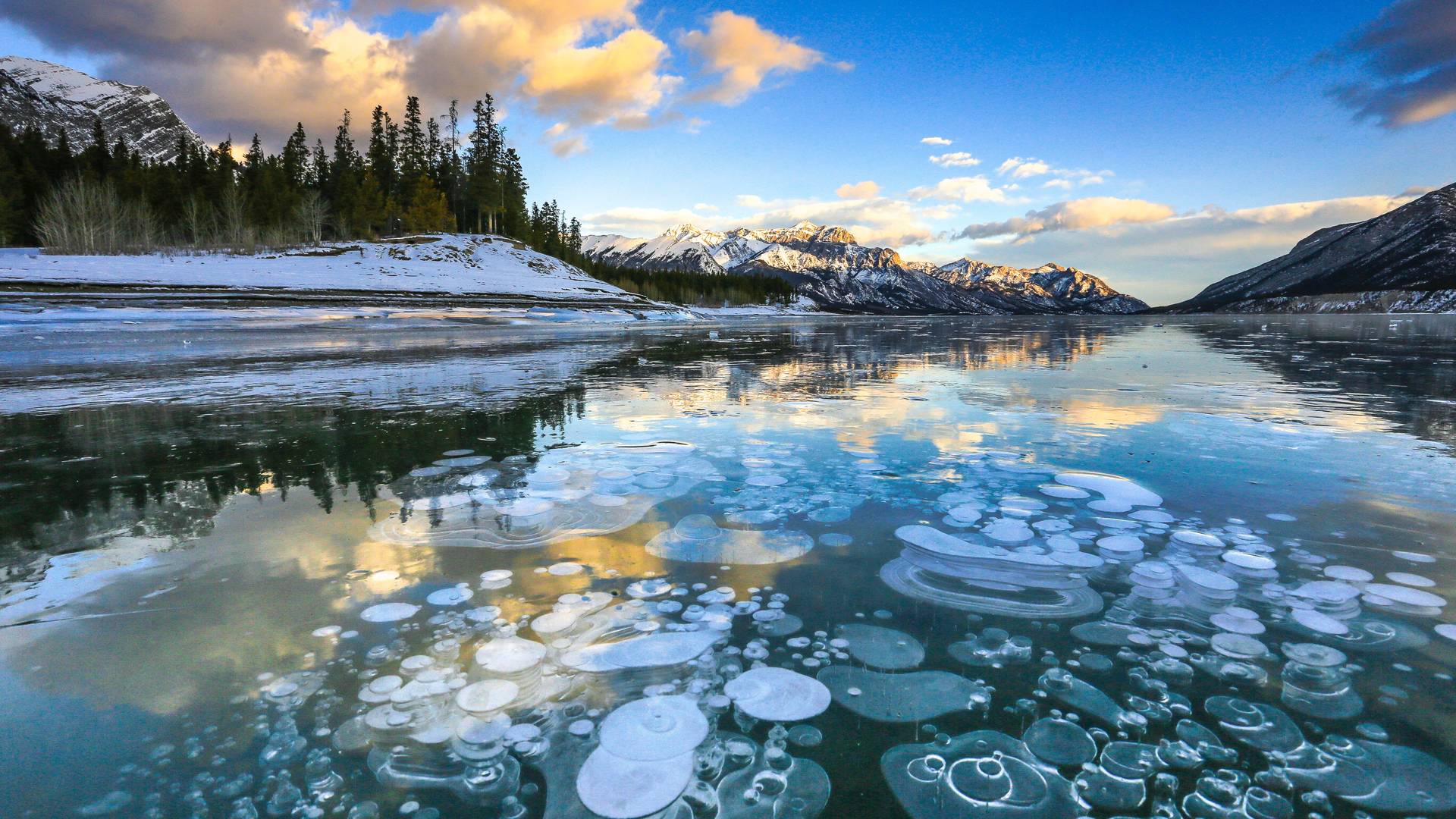 Abraham Lake