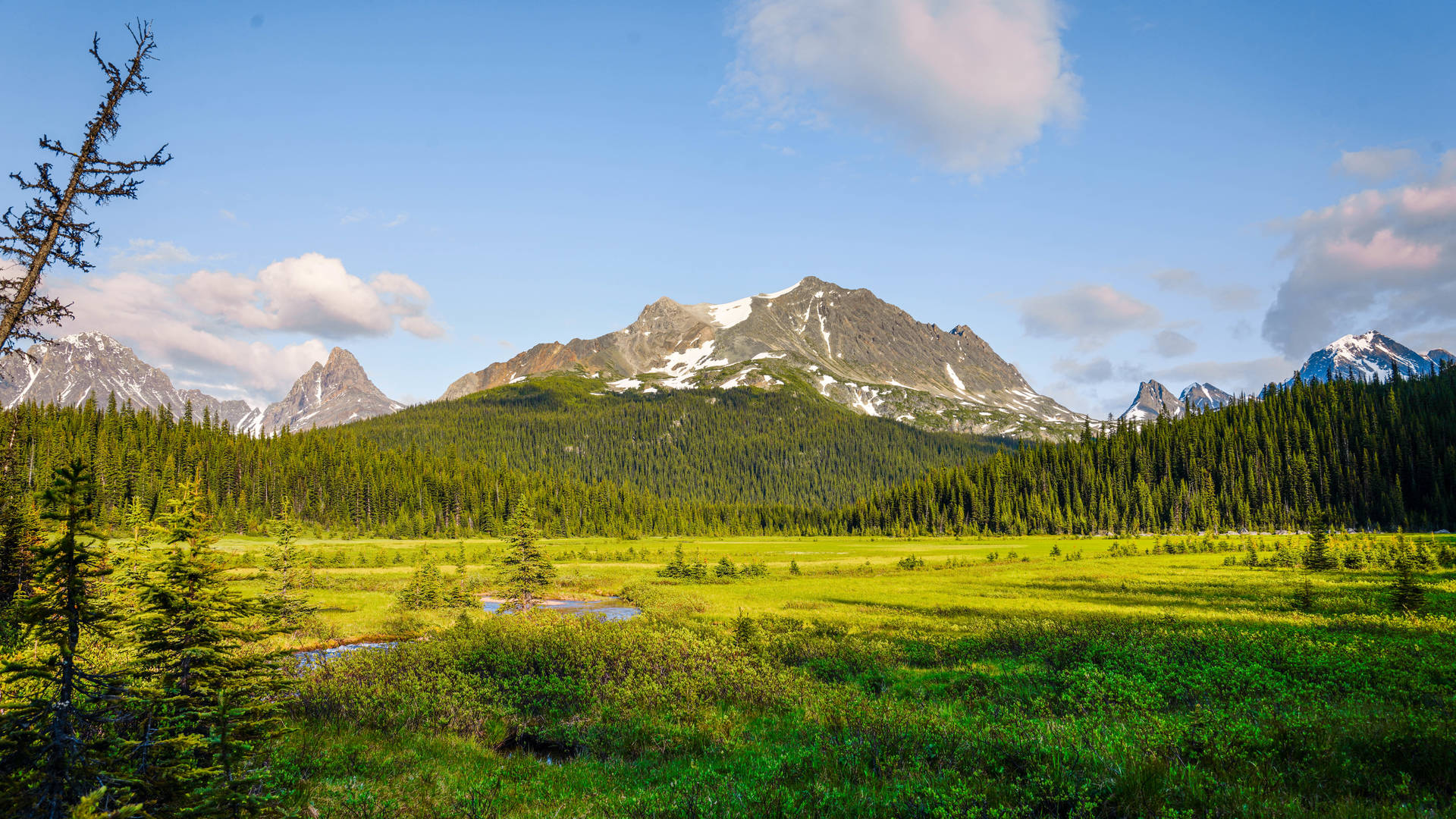 Tonquin Valley, Jasper National Park