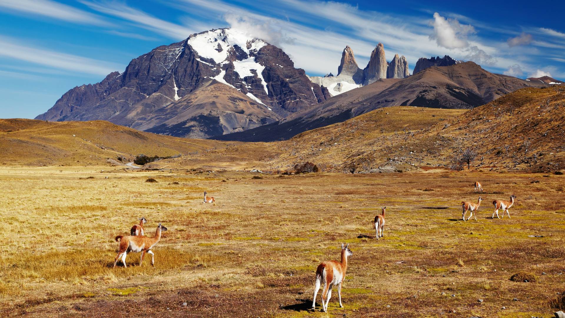 Torres del Paine