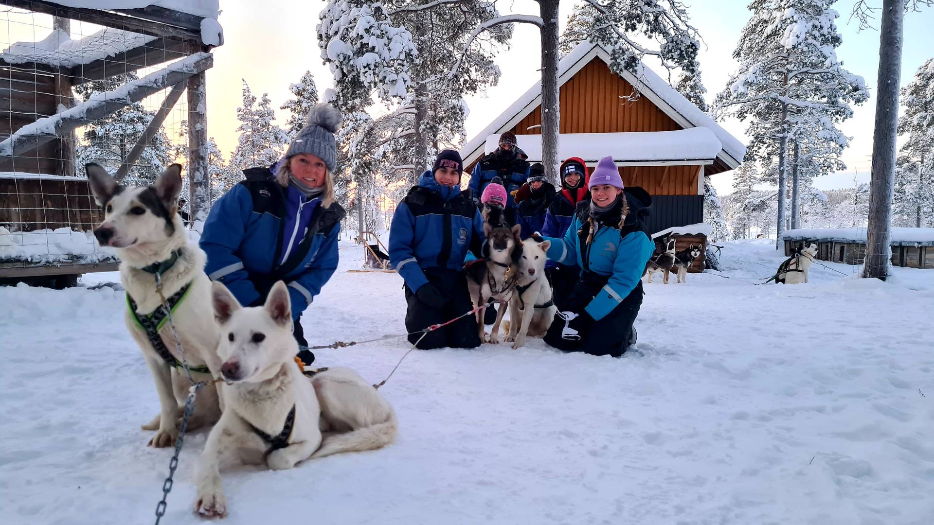 Husky's ontmoeten