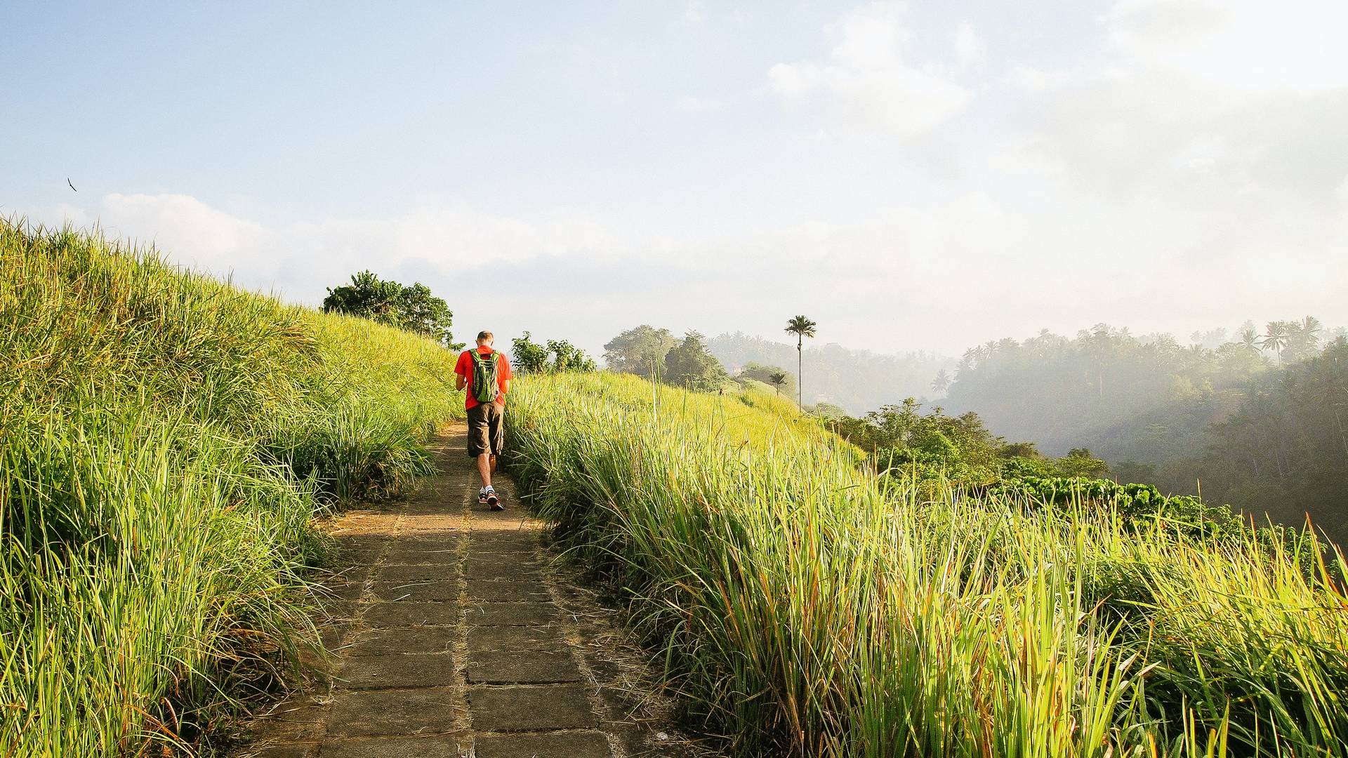 Campuhan Ridge Walk in Ubud