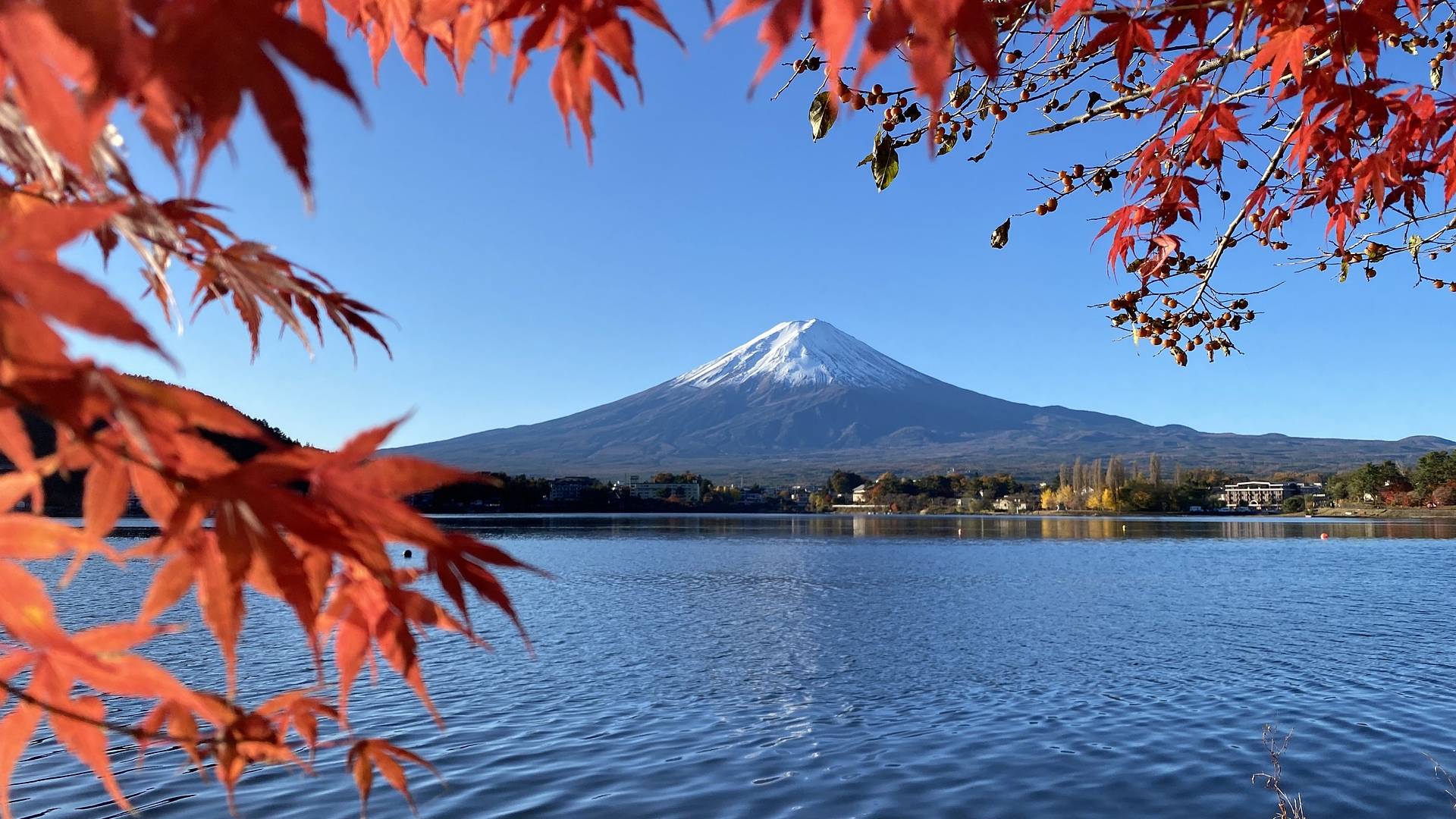 Mount Fuji