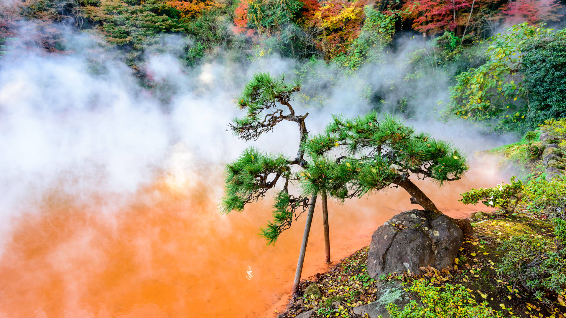 Blood Pond Jigoku in Beppu