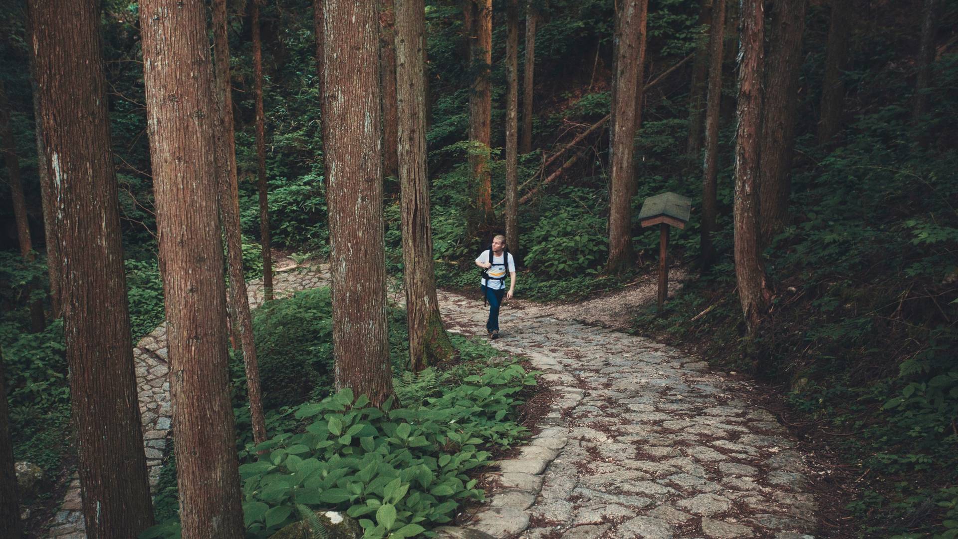 wandelroute nakasendo trail in de japanse alpen, japan