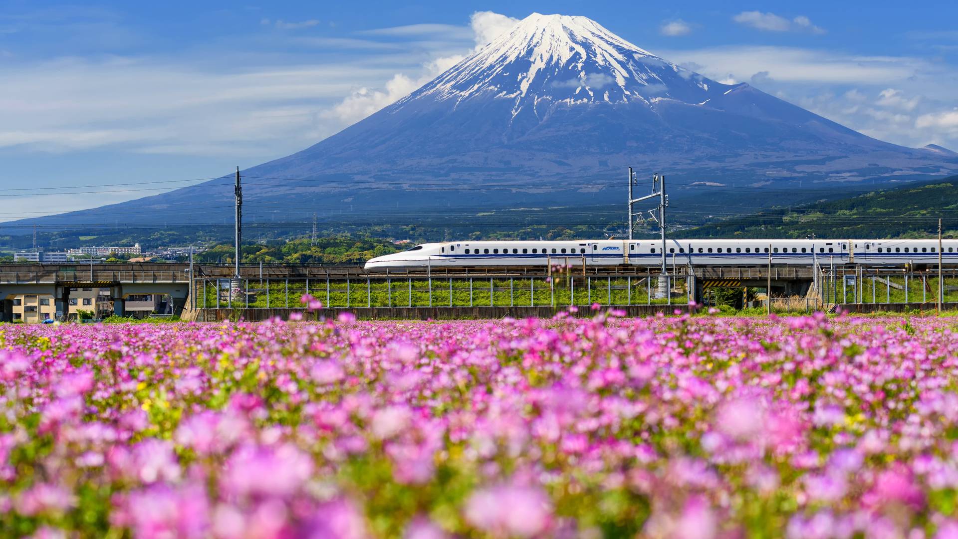 Bullettrain in Japan rijdt langs Mt Fuji