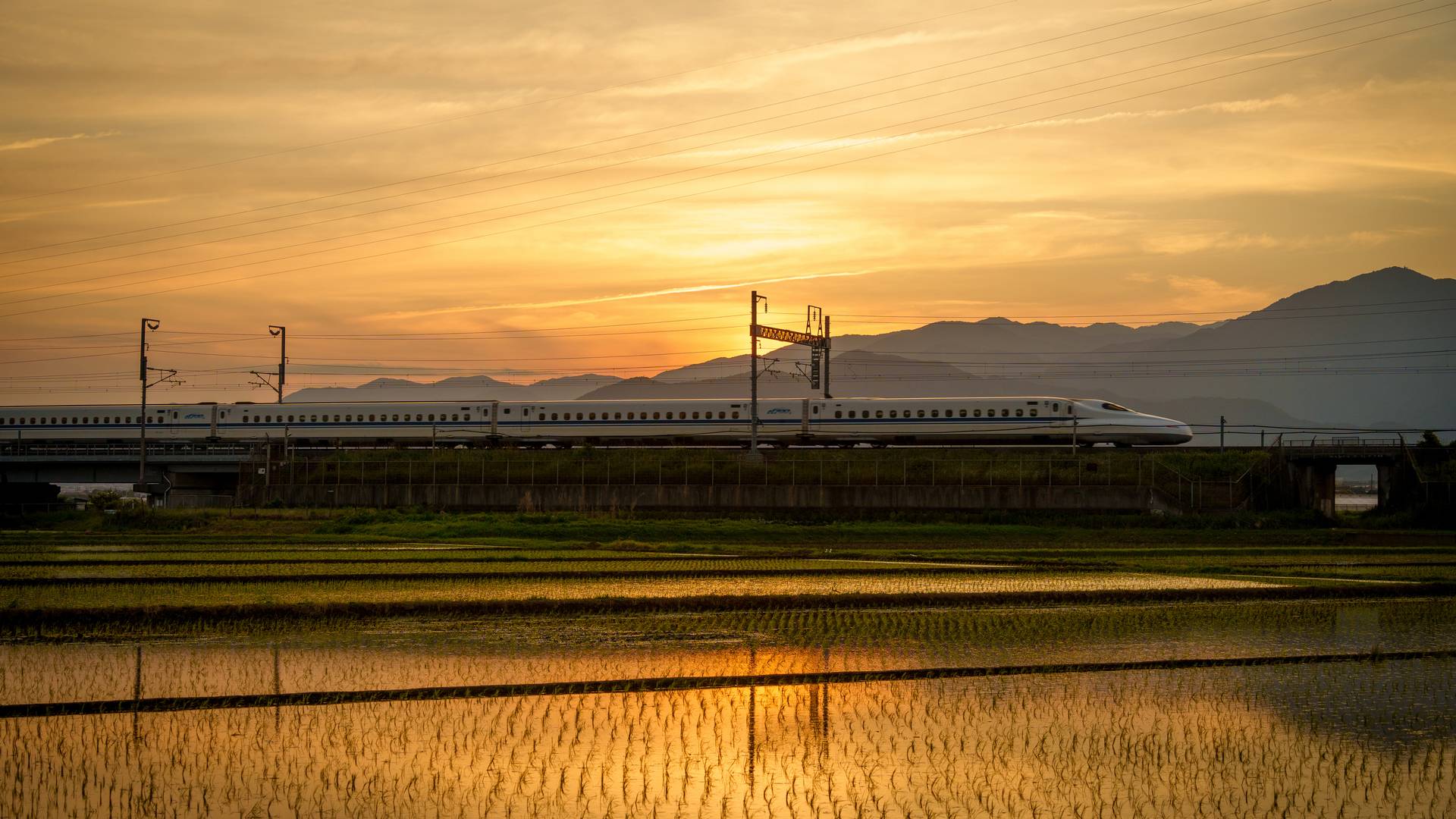 Bullettrain bij rijstvelden in Kanagawa, Japan