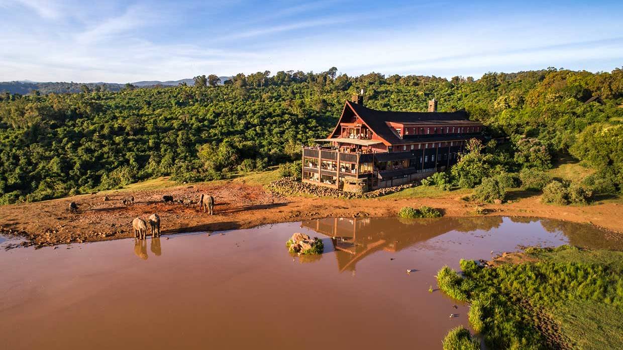 The Ark Lodge, Aberdare National Park