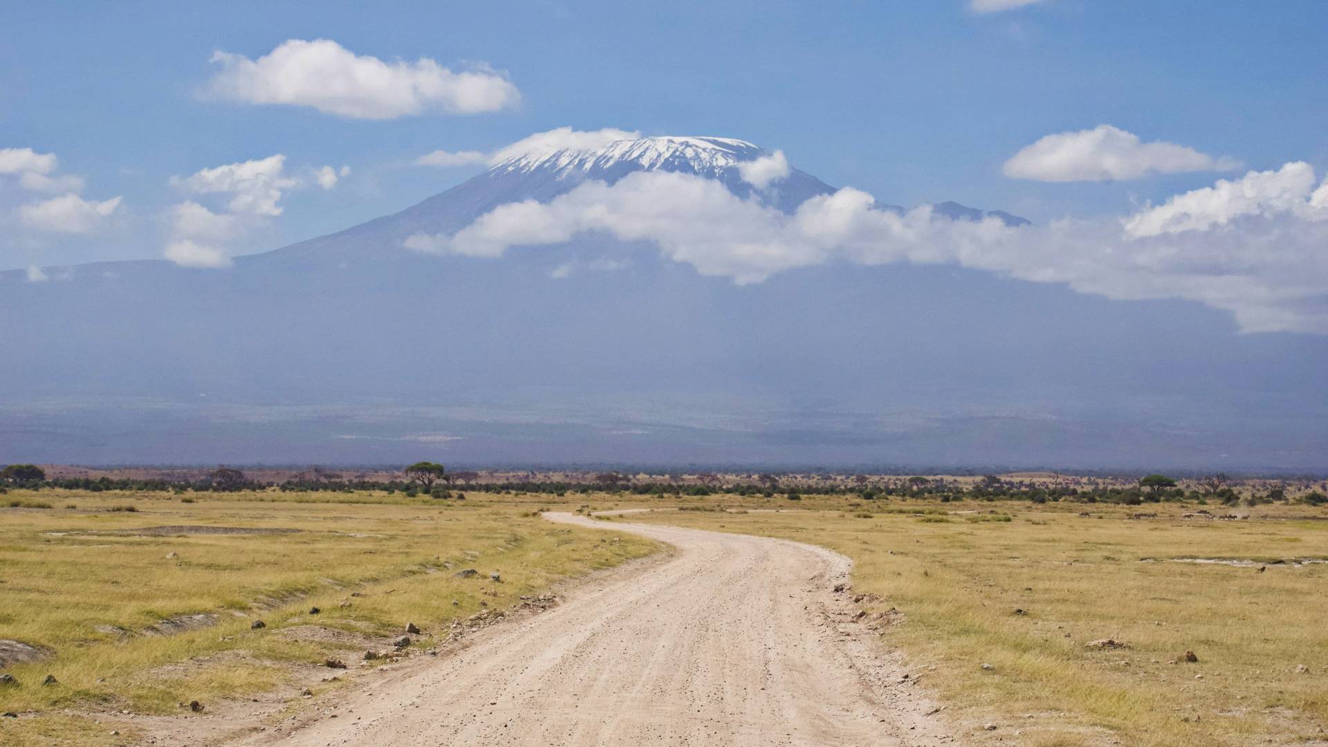 Uitzicht op de Kilimanjaro