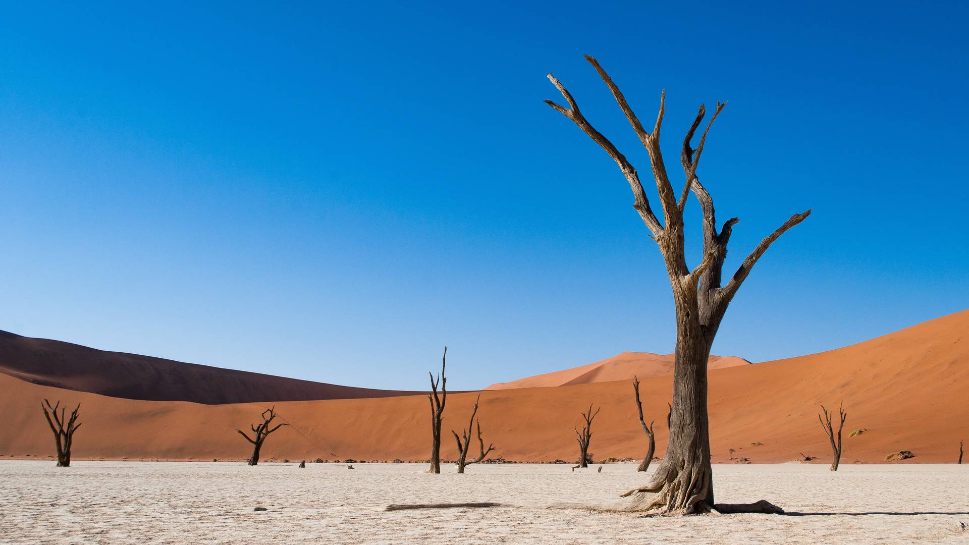 Deadvlei