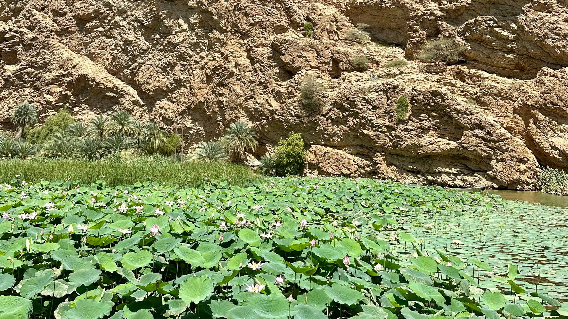 Wadi Shab in Oman