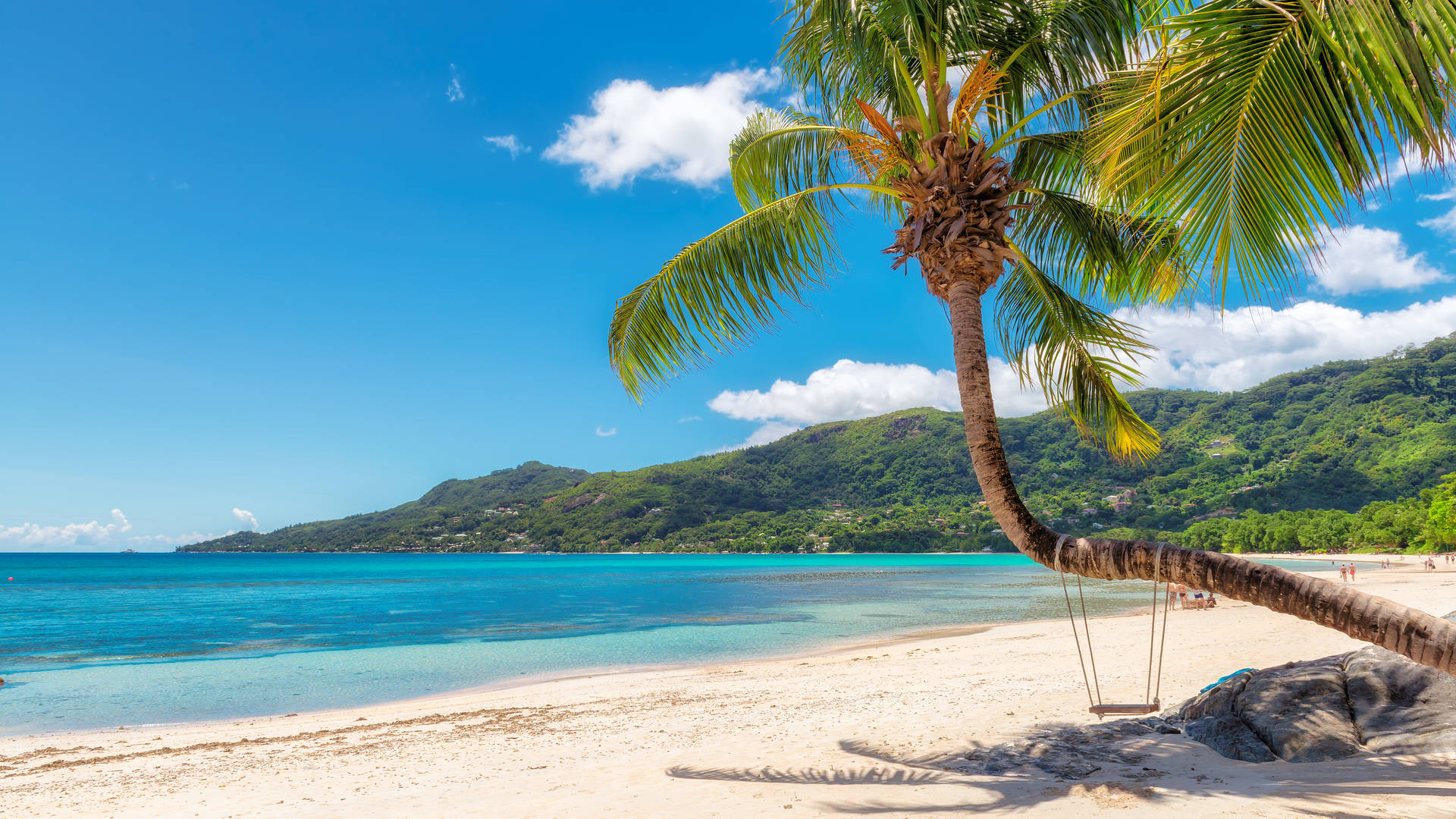 Wit palmenstrand van Mahe