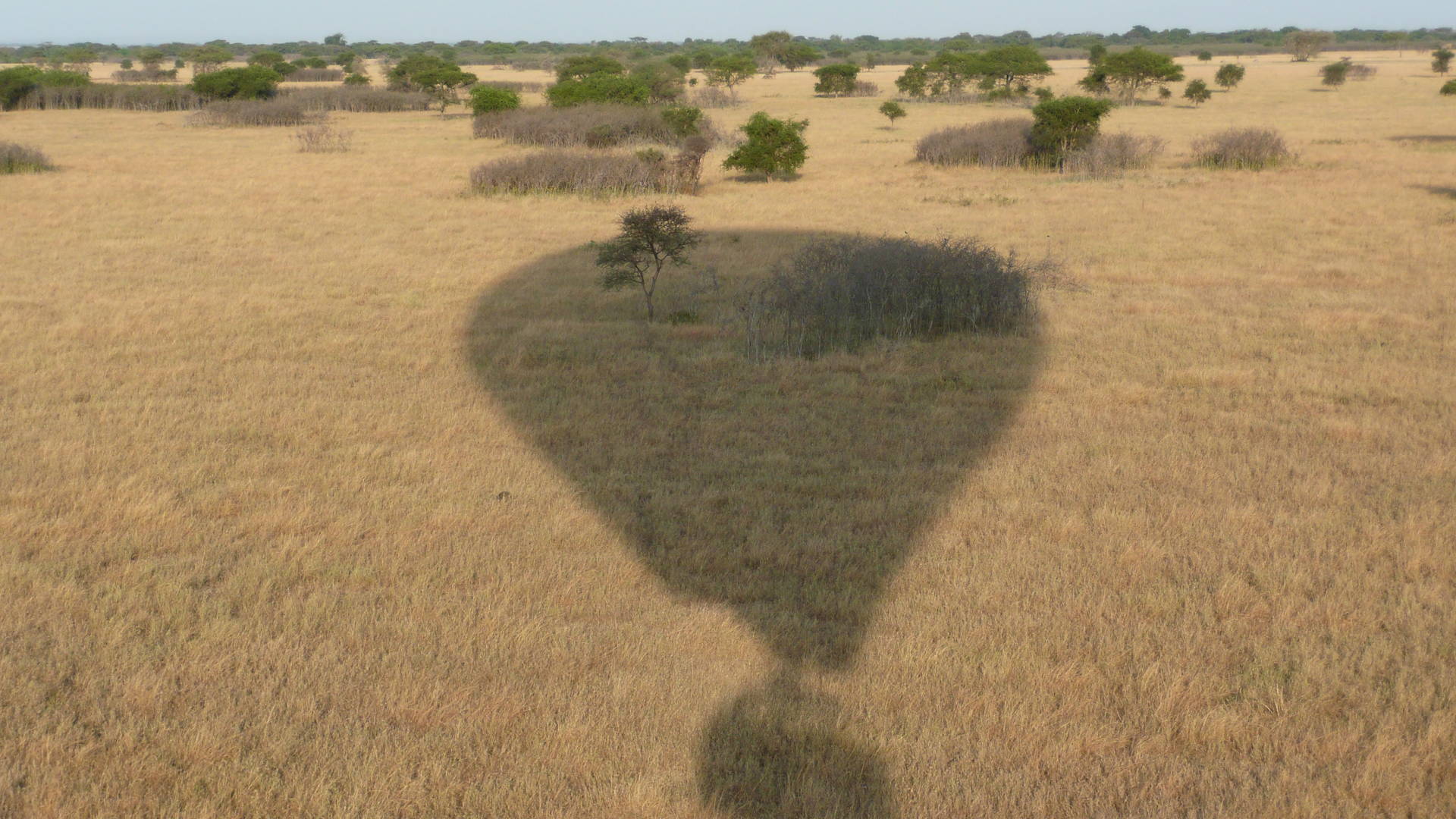 Met de luchtballon boven de Serengeti