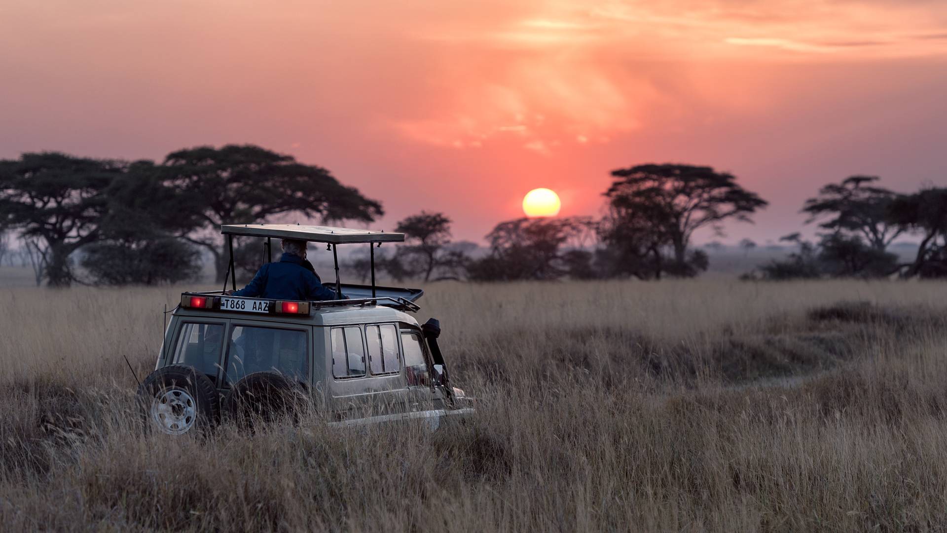 Op safari in de Serengeti