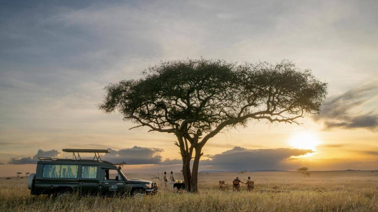 Safari bij zonsondergang in Serengeti