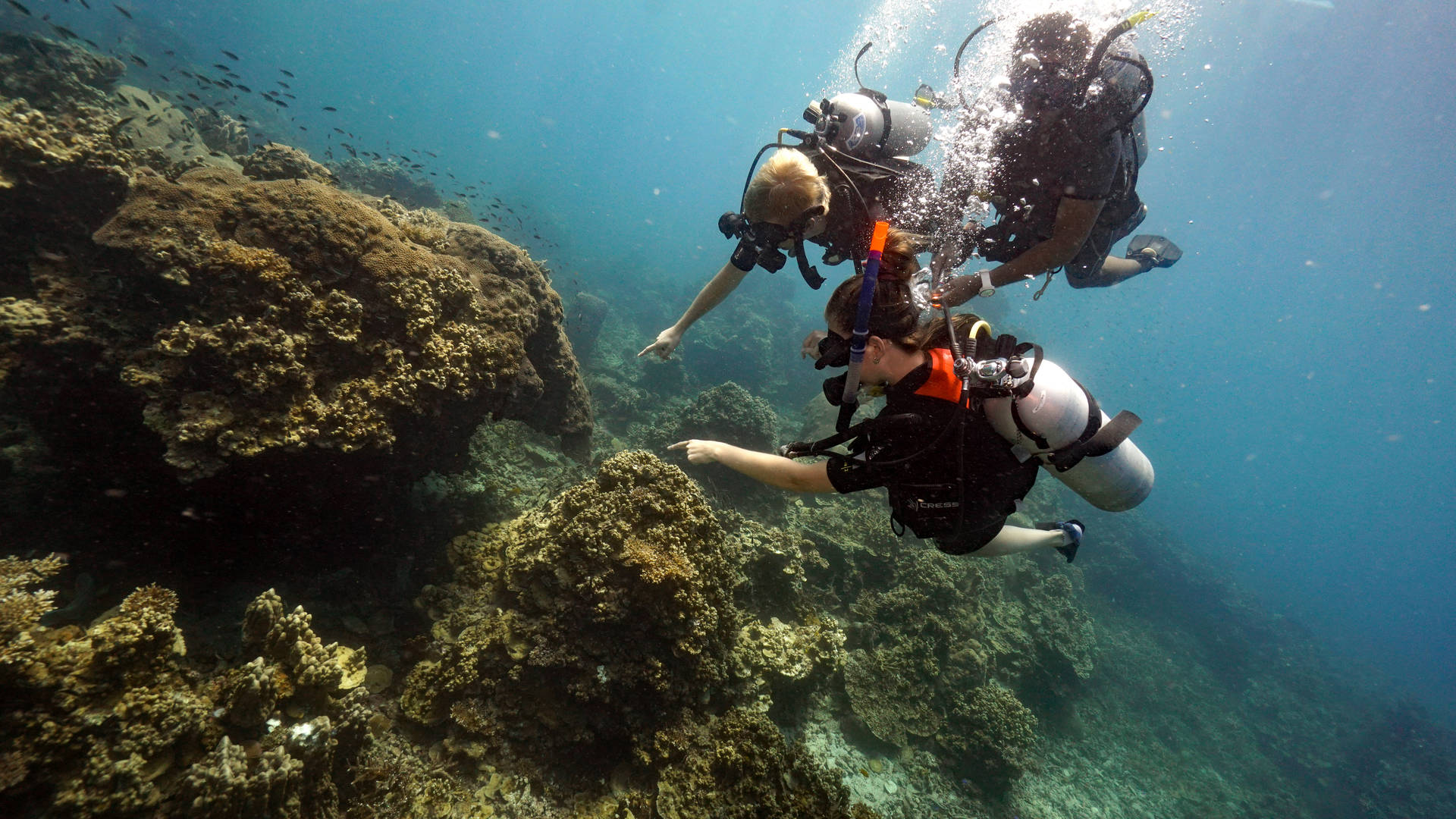 Femke duikt bij Koh Tao in Thailand