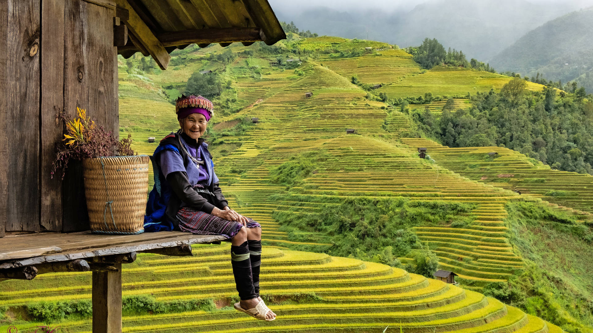 De rijstterrassen van Mu Cang Chai