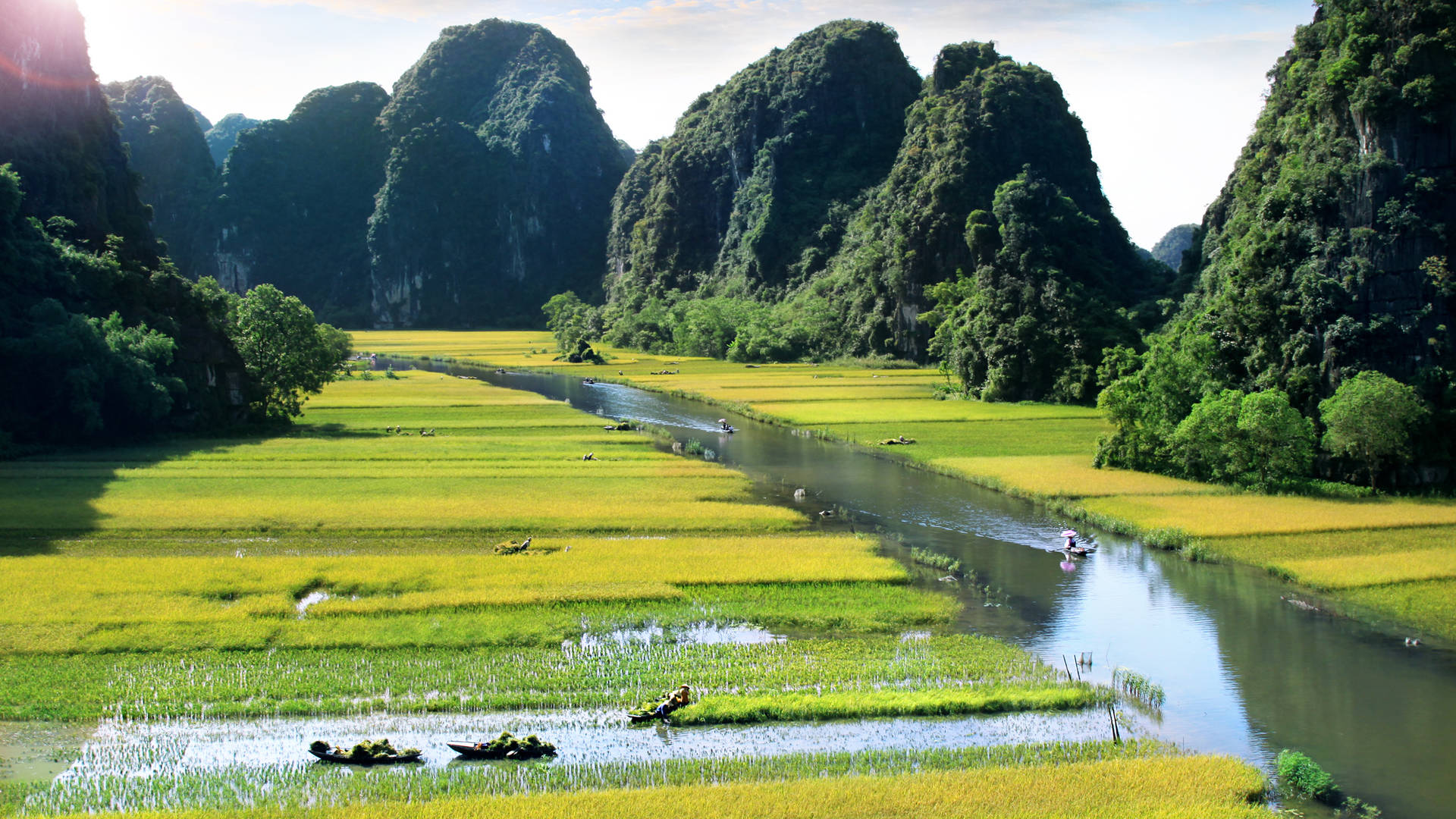 Rijstvelden van Ninh Binh