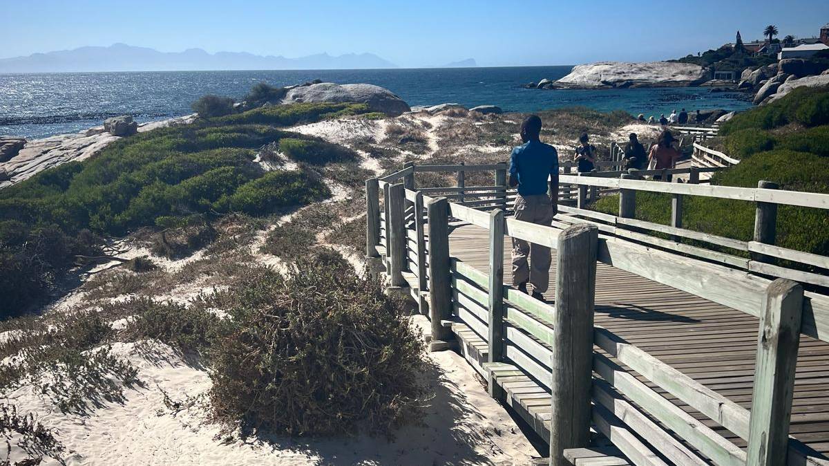 Loopbruggen bij Boulders Beach