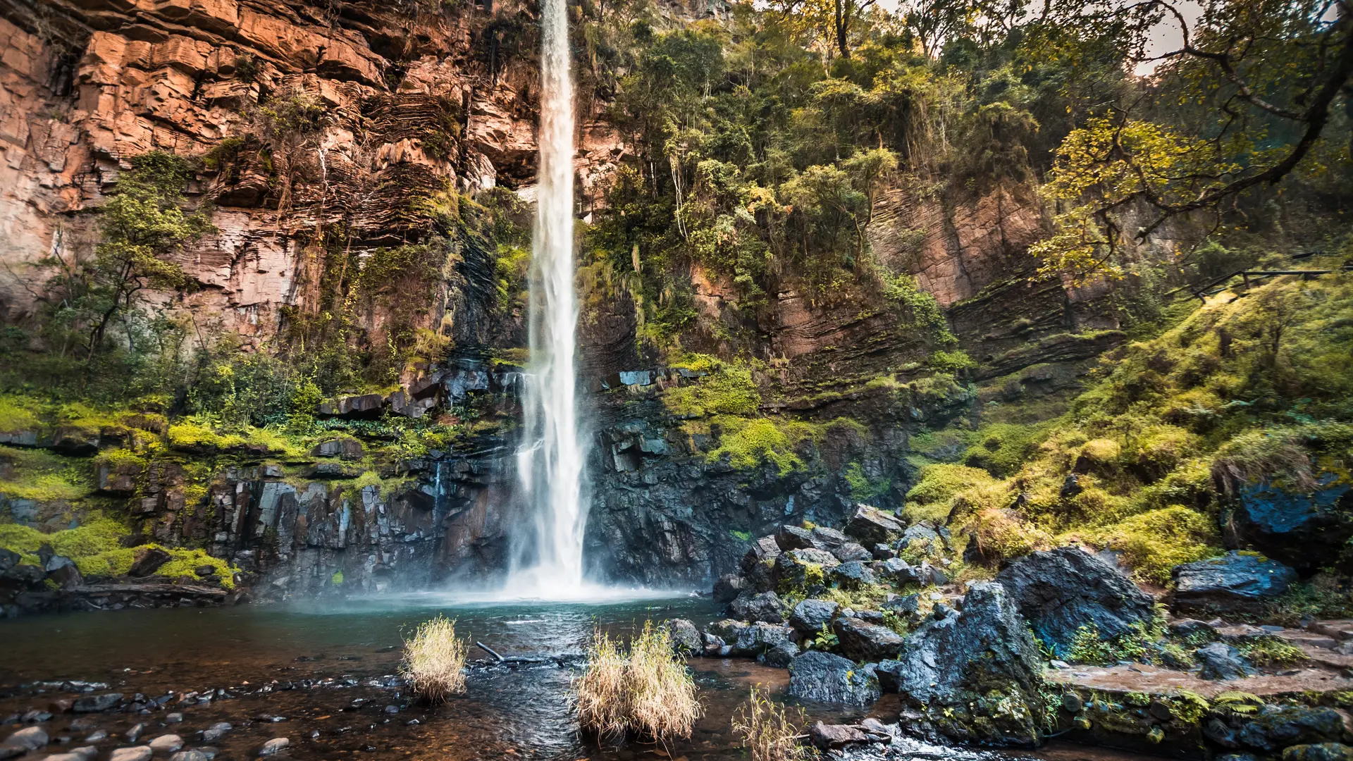 Lone Creek Falls