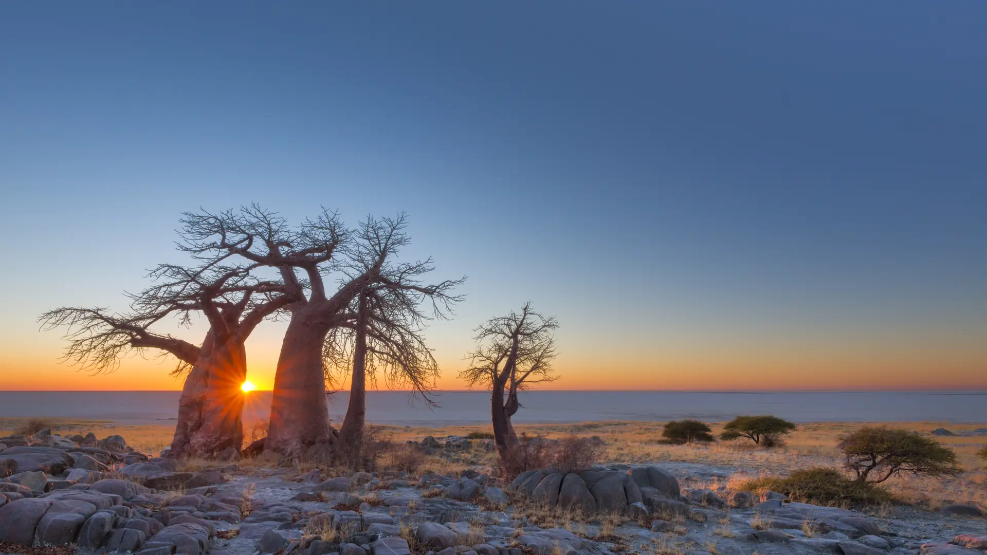 Kubu Island, Makgadikgadi Pans