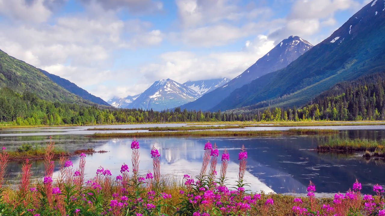 Landschap Alaska