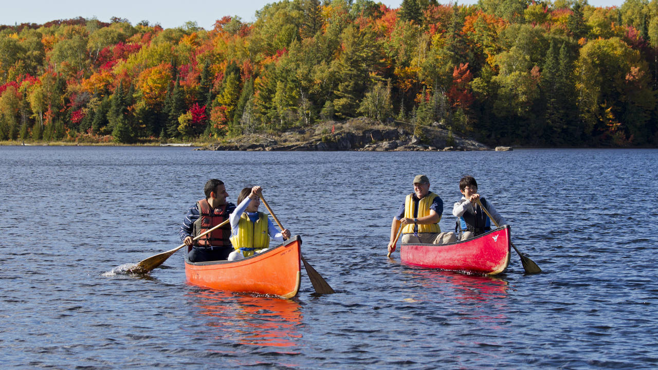 Algonquin Provincial Park