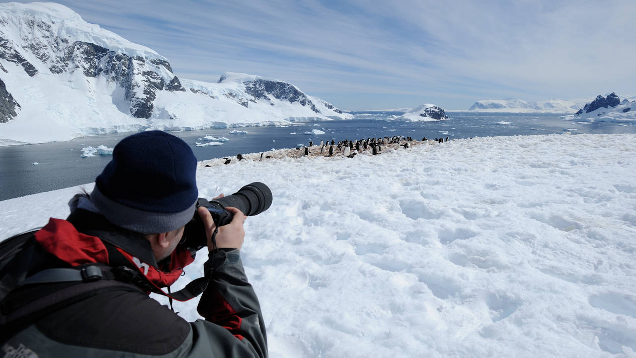 Fotograferen van pinquins op Antarctica